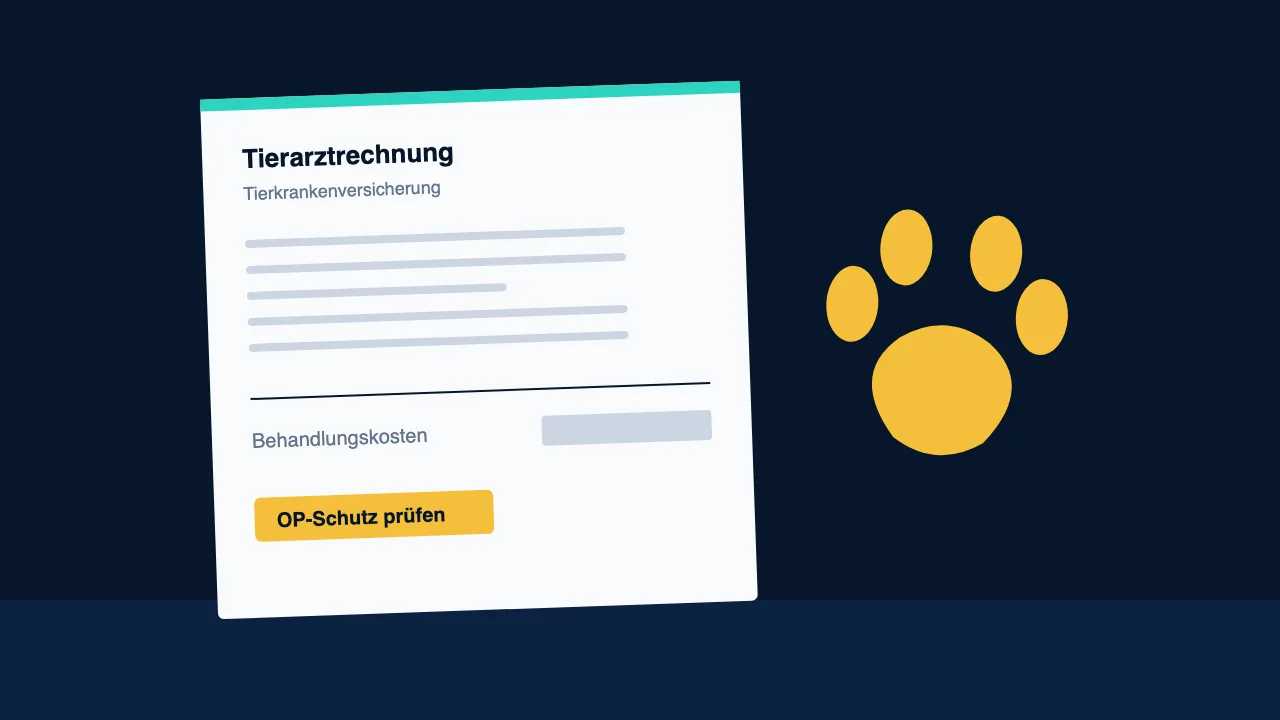 Illustration zum Vergleich Tierkrankenversicherung